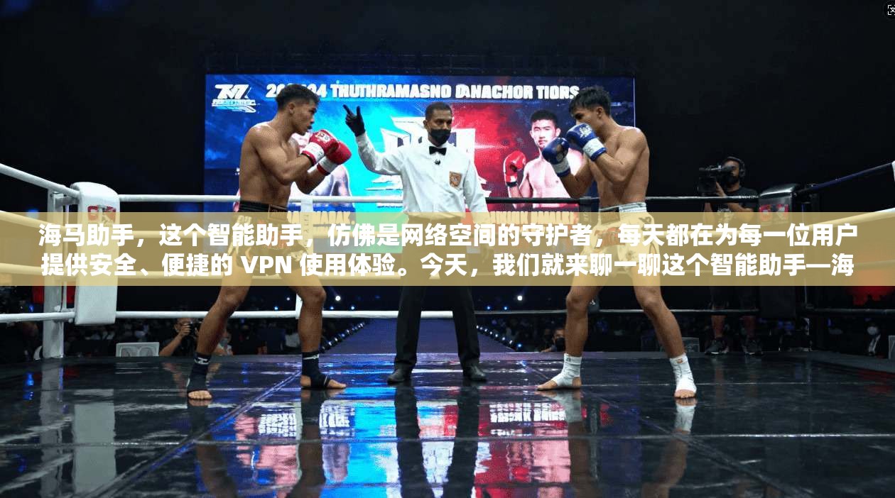 海马助手，这个智能助手，仿佛是网络空间的守护者，每天都在为每一位用户提供安全、便捷的 VPN 使用体验。今天，我们就来聊一聊这个智能助手—海马助手，以及它在VPN领域的强大能力