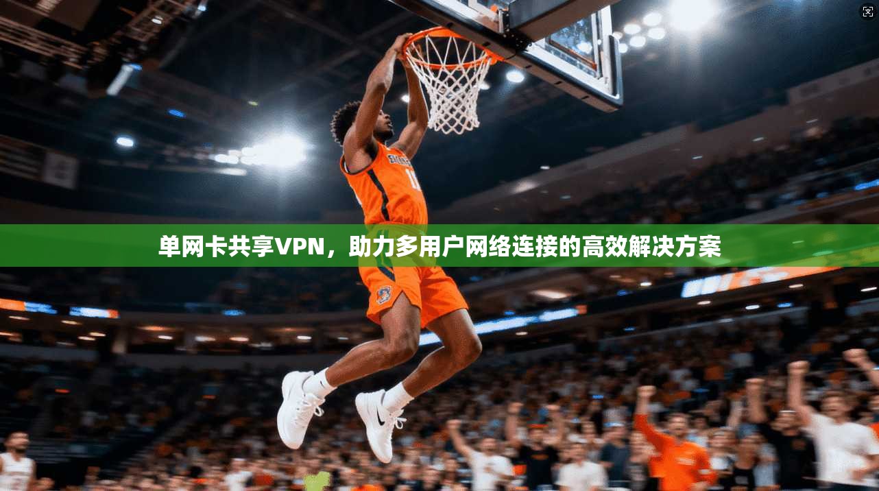 单网卡共享VPN，助力多用户网络连接的高效解决方案