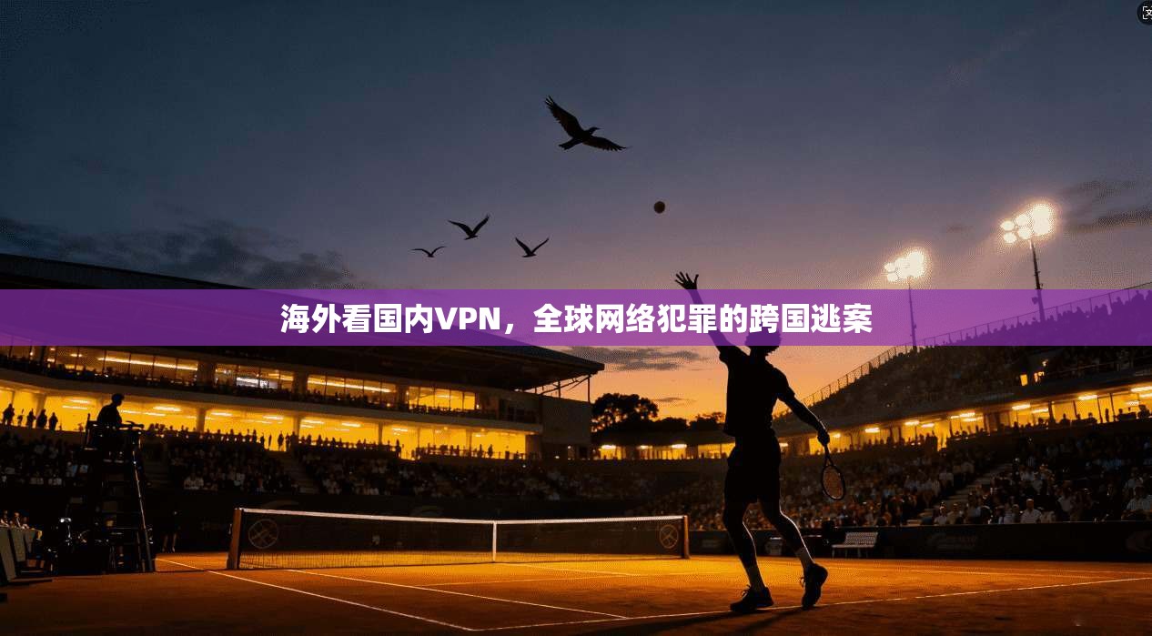 海外看国内VPN，全球网络犯罪的跨国逃案