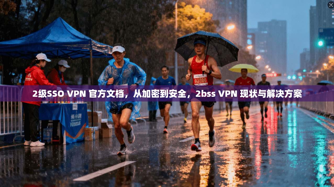 2级SSO VPN 官方文档,从加密到安全,2bss VPN 现状与解决方案