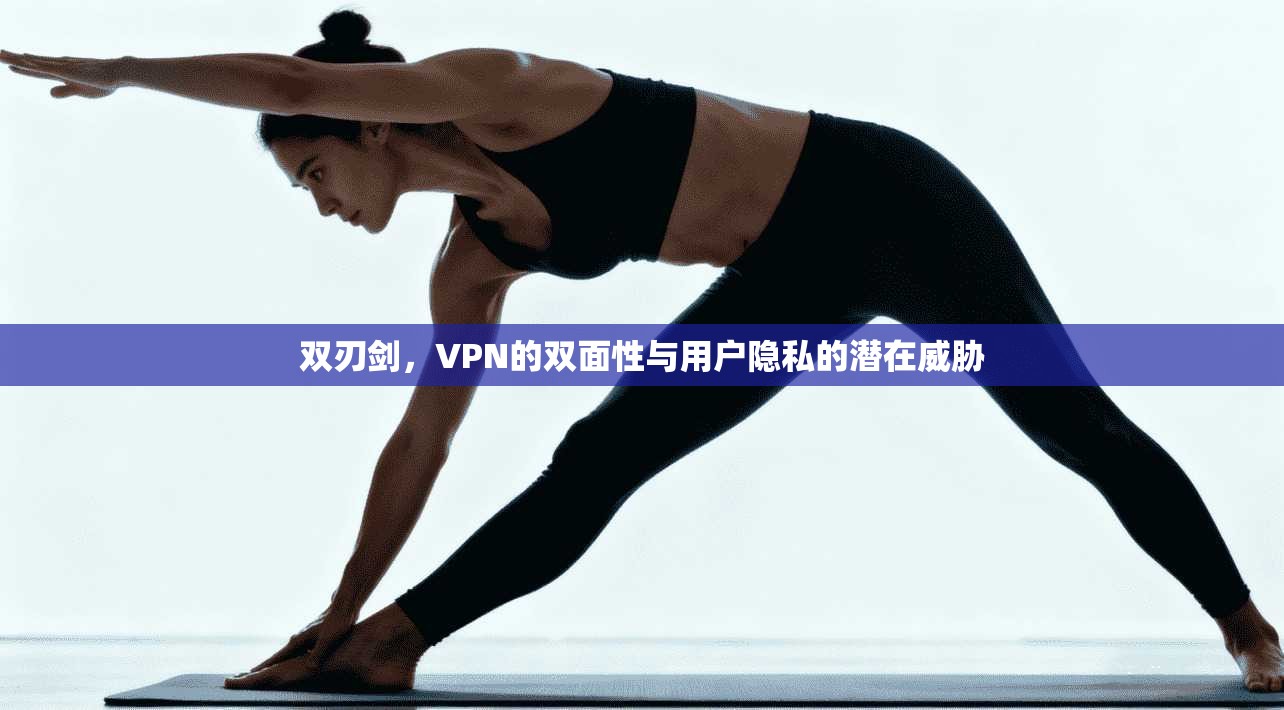 双刃剑，VPN的双面性与用户隐私的潜在威胁