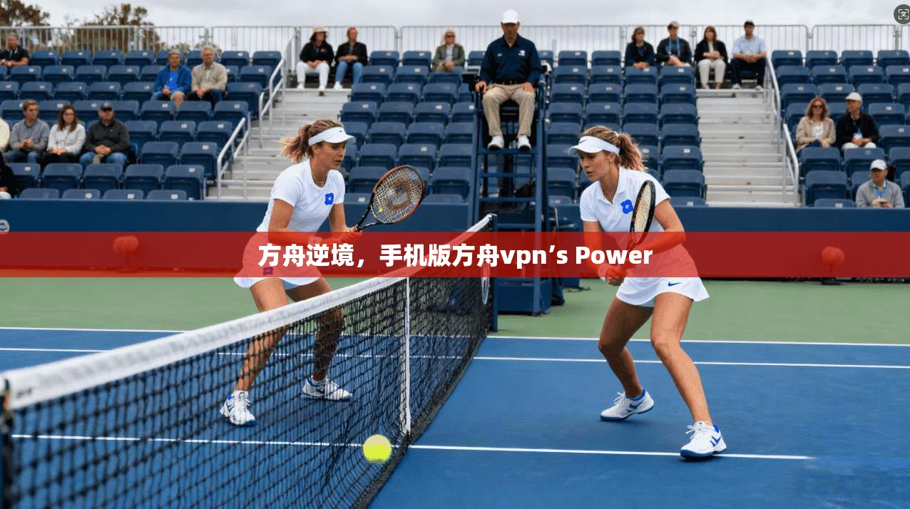 方舟逆境，手机版方舟vpn’s Power