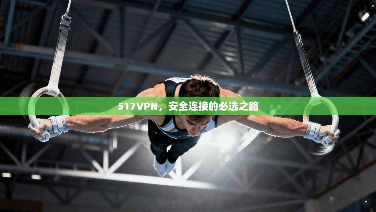 517VPN,安全连接的必选之路