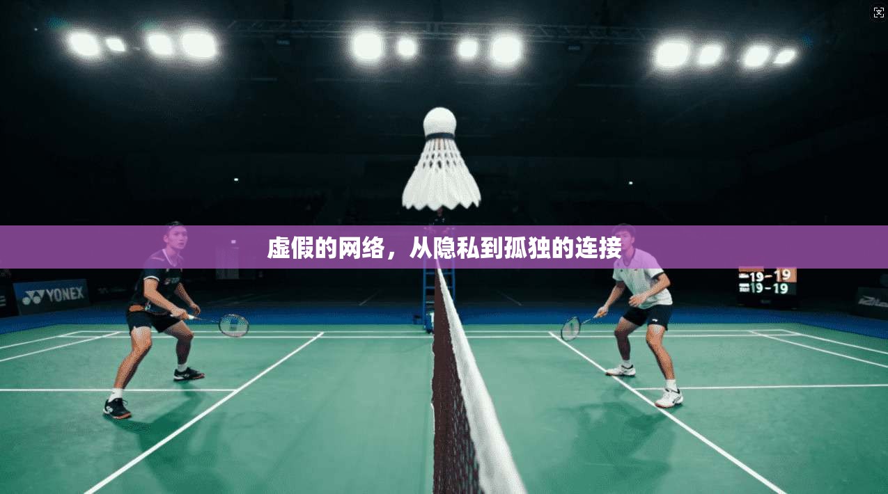 虚假的网络，从隐私到孤独的连接