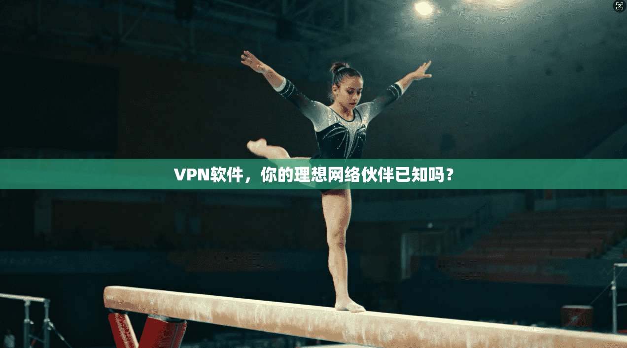 VPN软件，你的理想网络伙伴已知吗？