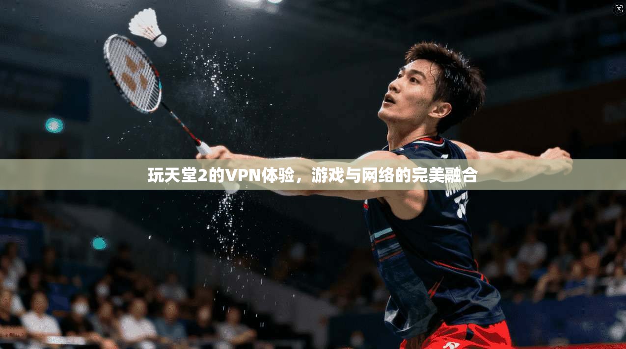 玩天堂2的VPN体验，游戏与网络的完美融合