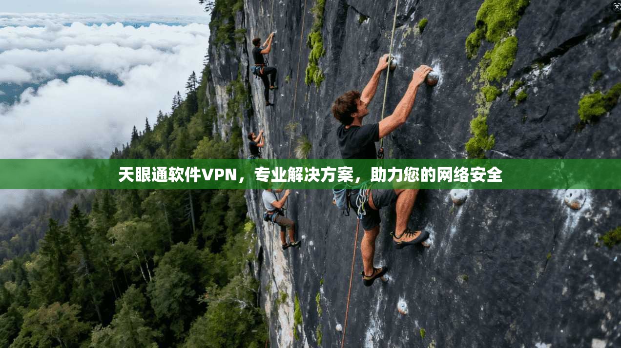 天眼通软件VPN，专业解决方案，助力您的网络安全