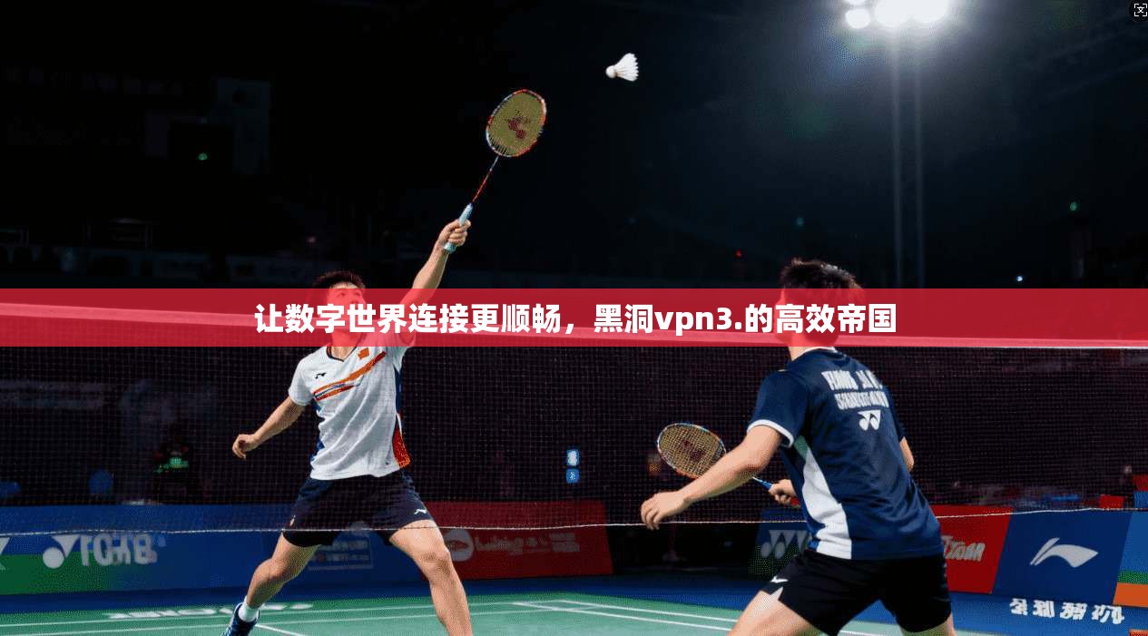 让数字世界连接更顺畅,黑洞vpn3.的高效帝国