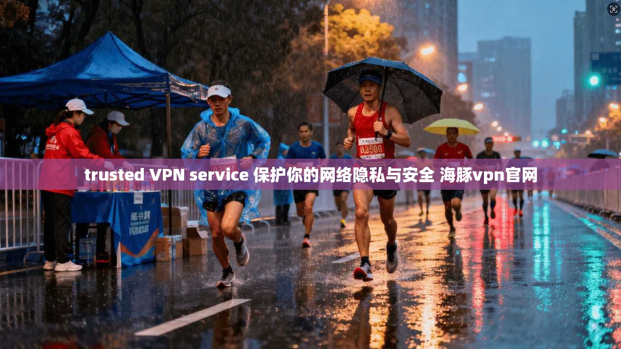 trusted VPN service 保护你的网络隐私与安全 海豚vpn官网