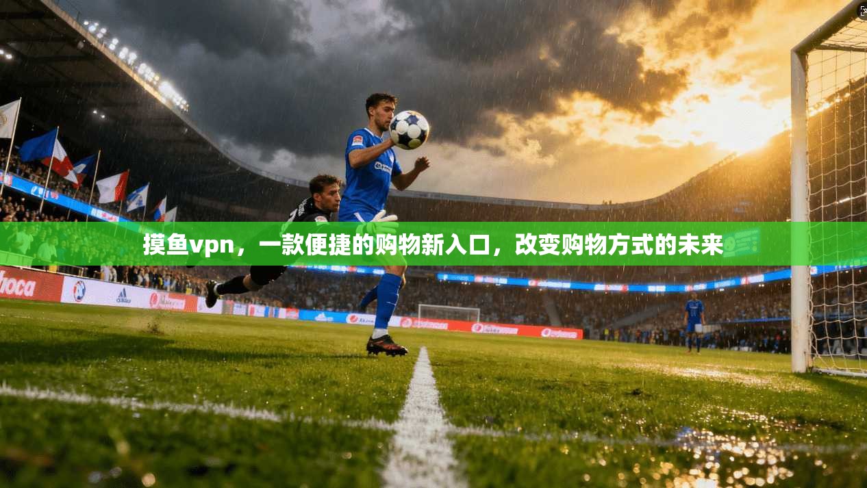 摸鱼vpn,一款便捷的购物新入口,改变购物方式的未来