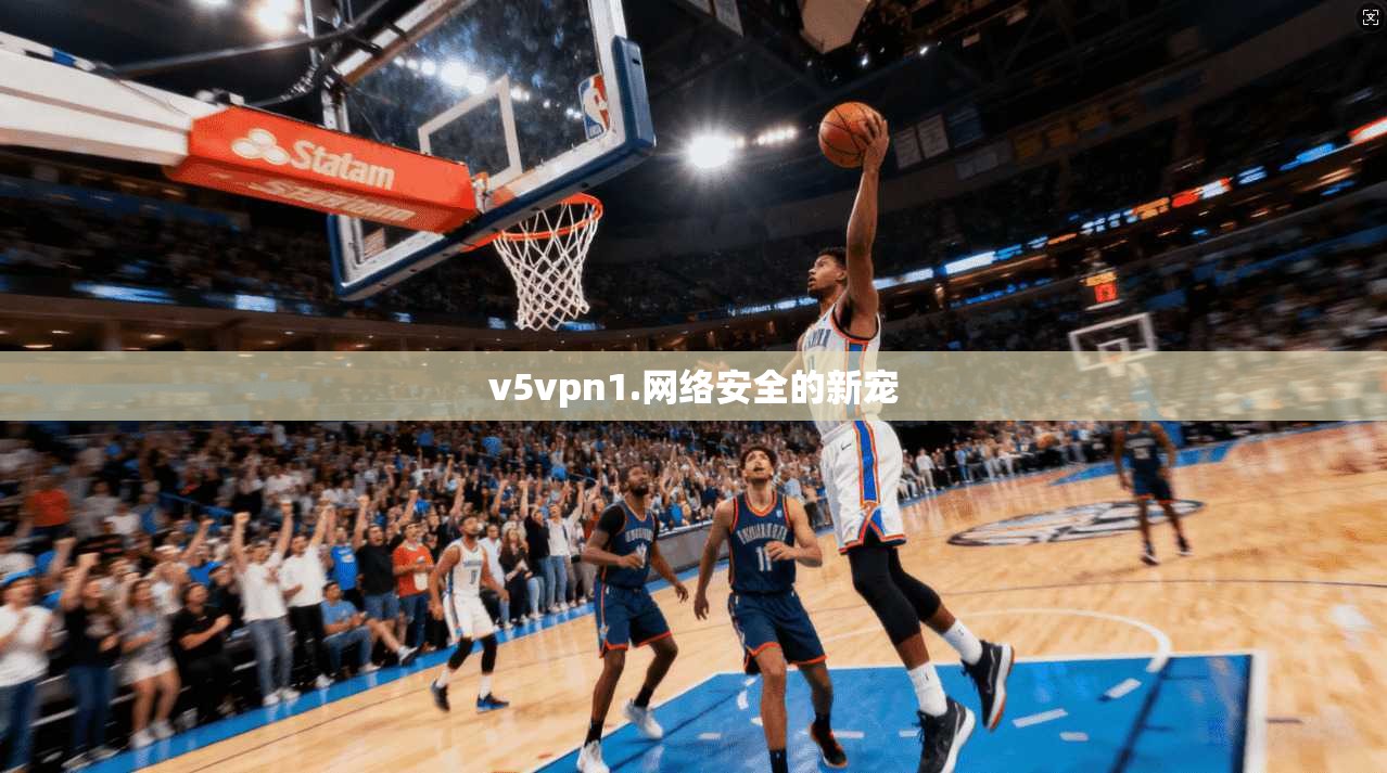 v5vpn1.网络安全的新宠