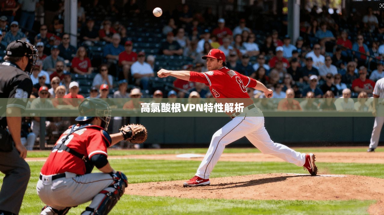 高氯酸根VPN特性解析
