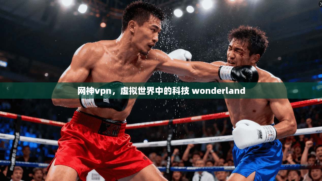 网神vpn，虚拟世界中的科技 wonderland