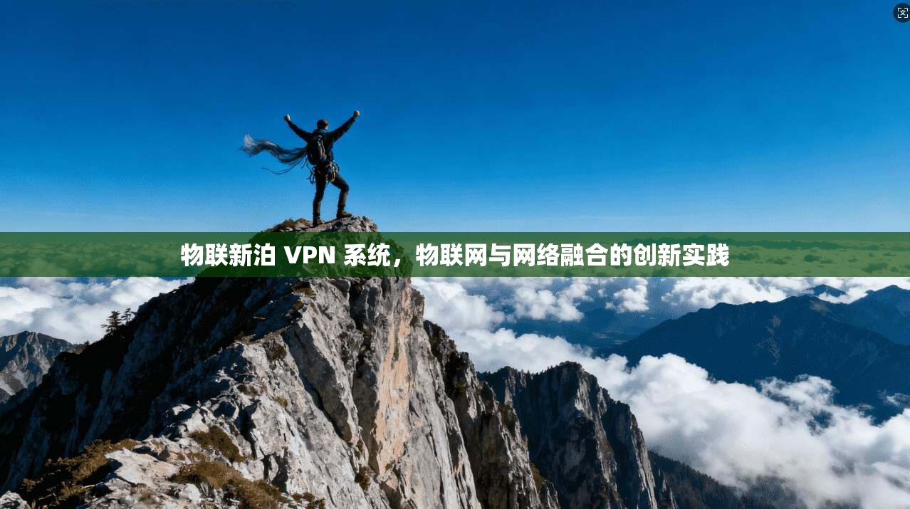 物联新泊 VPN 系统，物联网与网络融合的创新实践