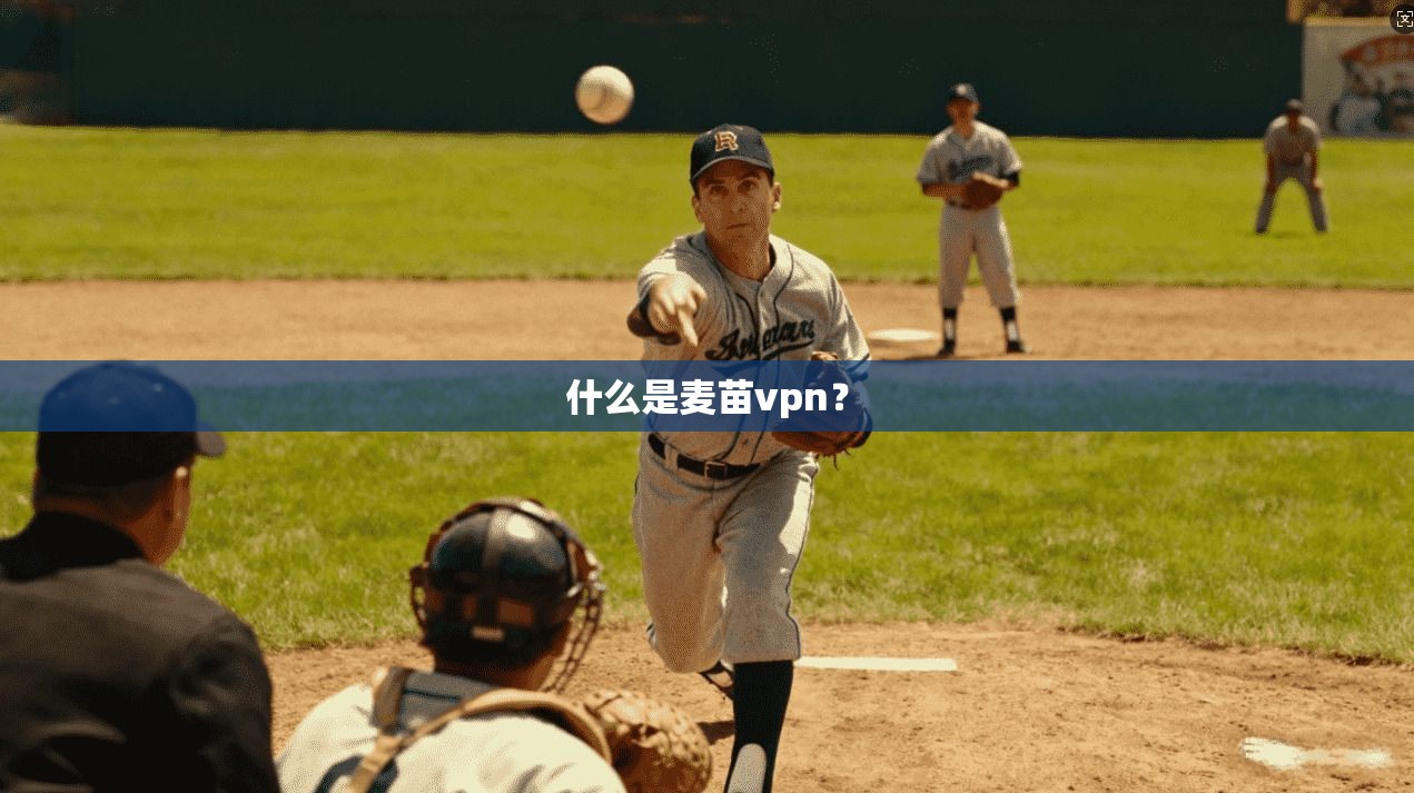 什么是麦苗vpn？