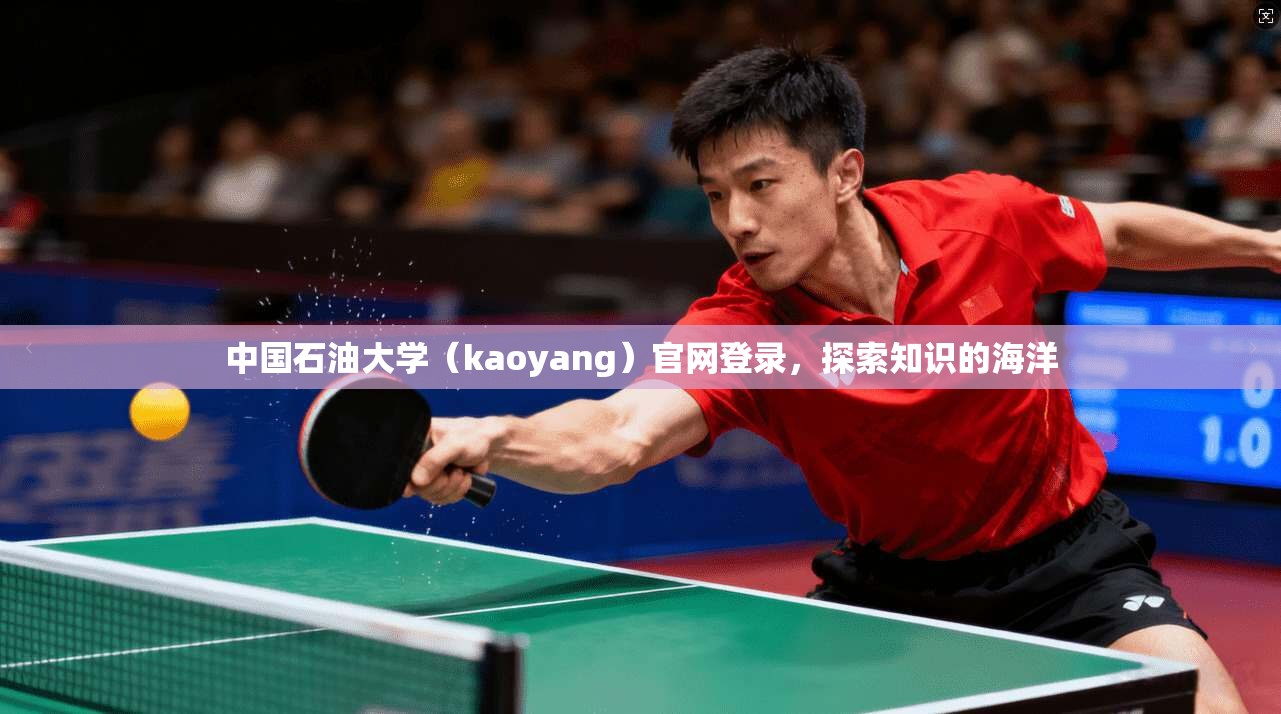 中国石油大学(kaoyang)官网登录,探索知识的海洋