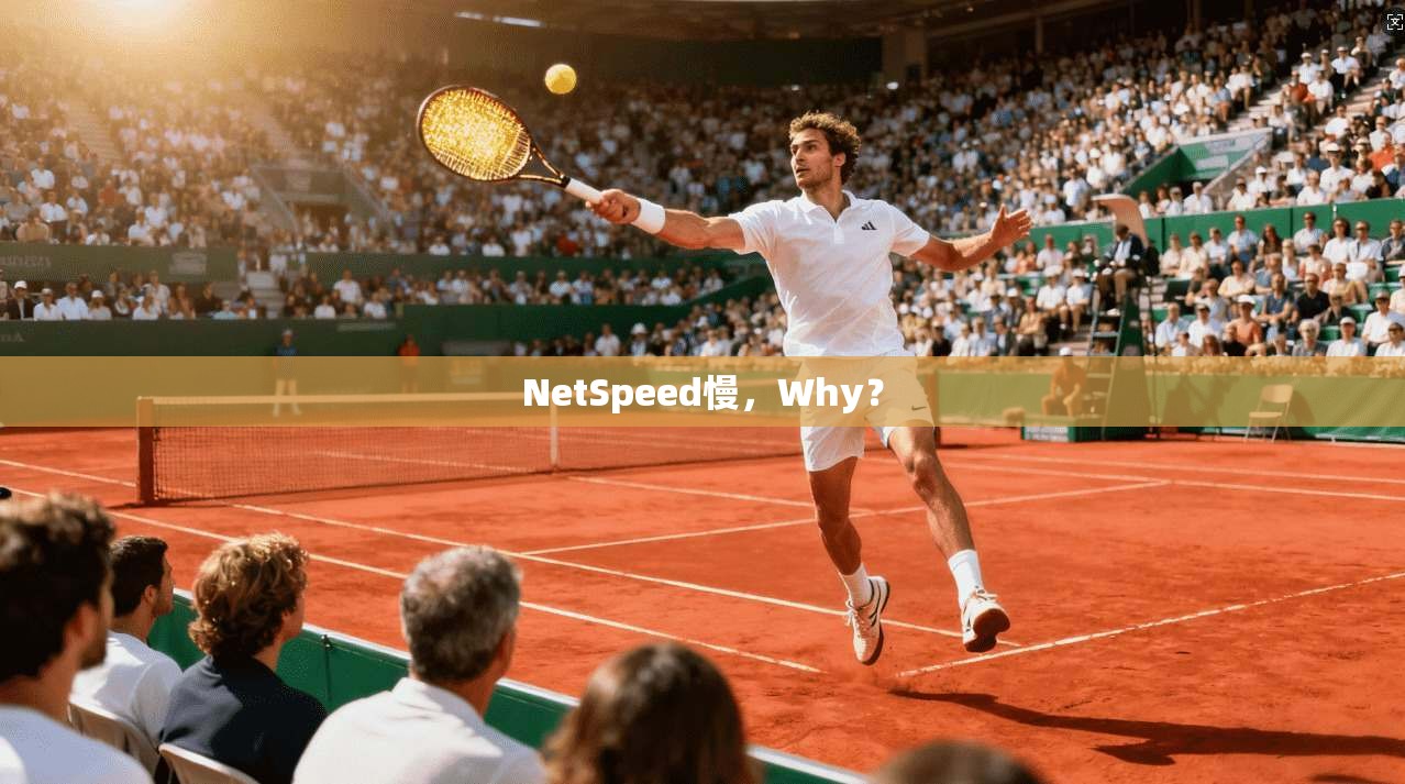 NetSpeed慢，Why？
