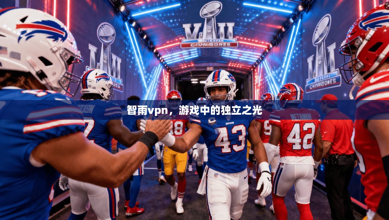 智雨vpn，游戏中的独立之光
