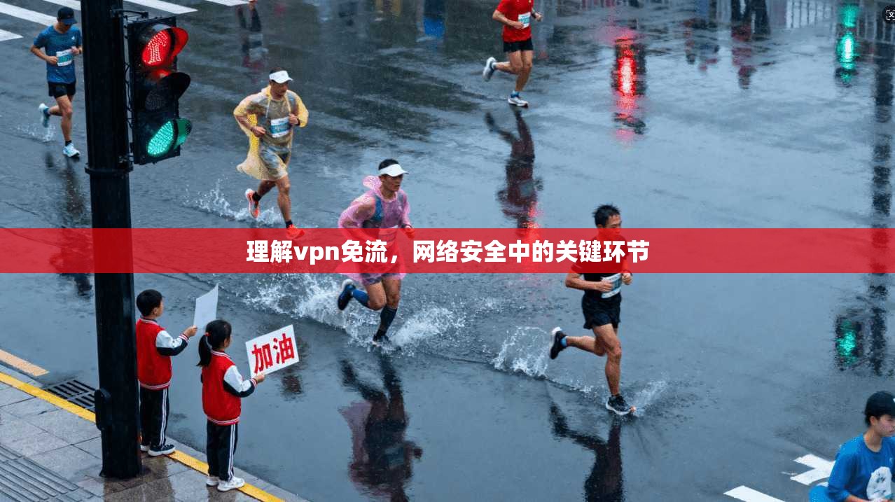 理解vpn免流，网络安全中的关键环节