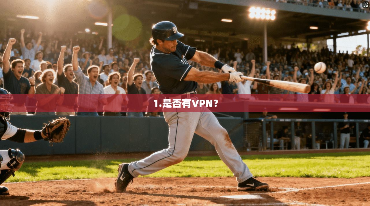 1.是否有VPN?