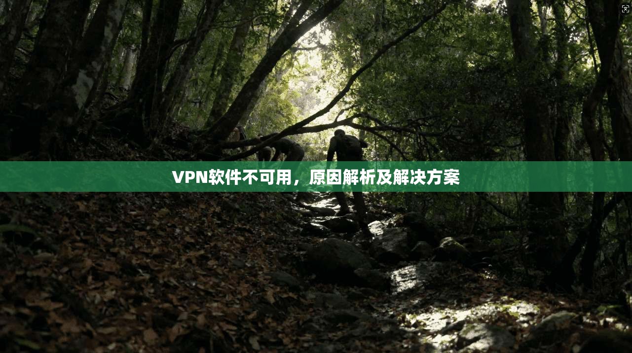VPN软件不可用，原因解析及解决方案