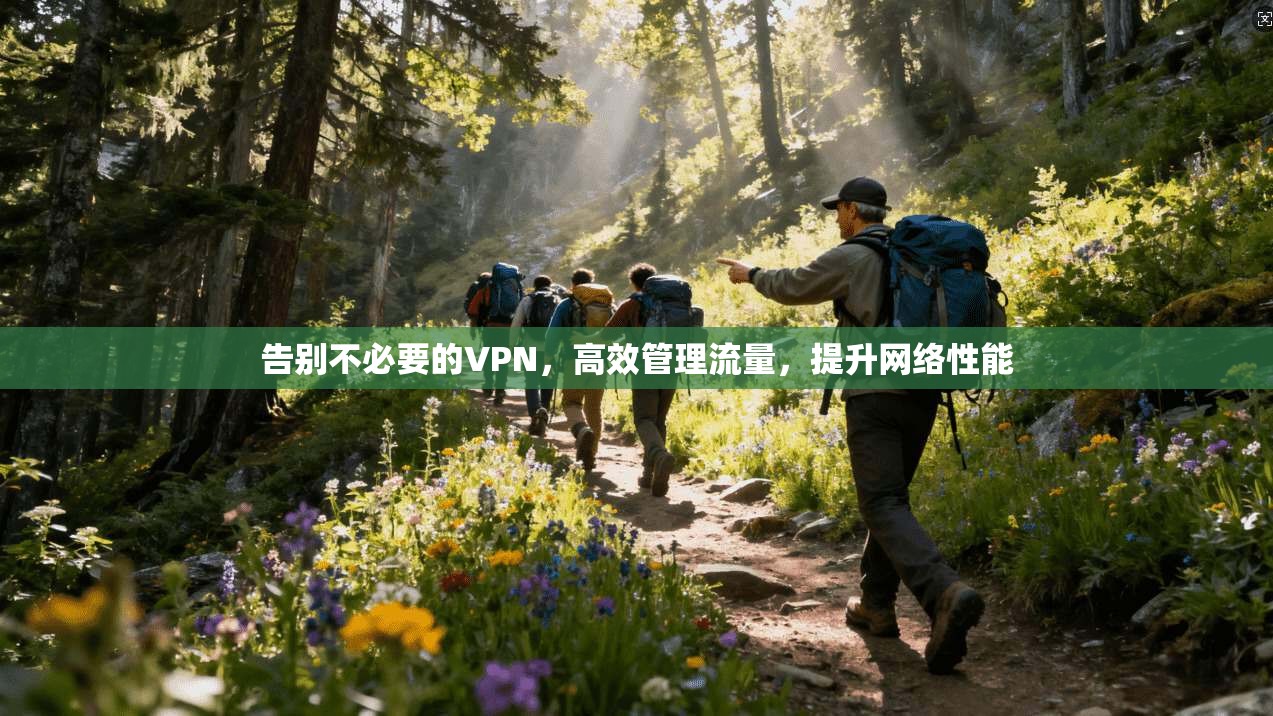 告别不必要的VPN，高效管理流量，提升网络性能  第1张