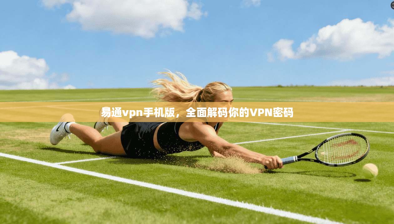 易通vpn手机版,全面解码你的VPN密码