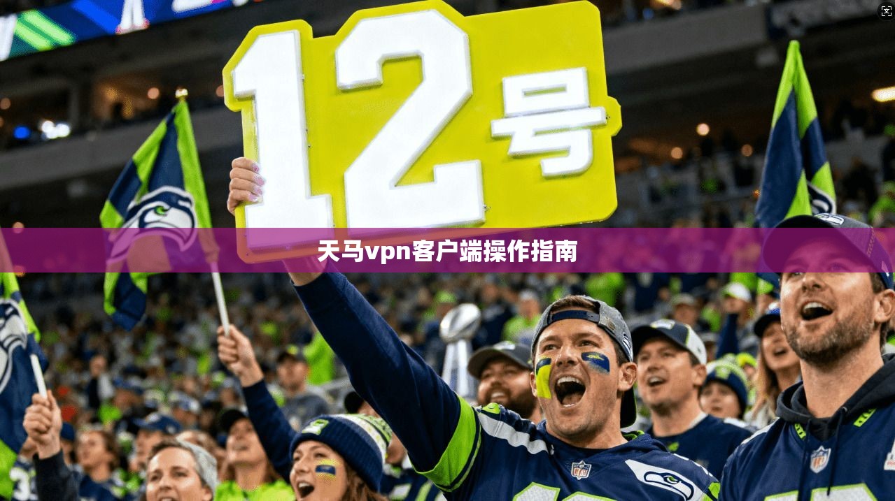 天马vpn客户端操作指南