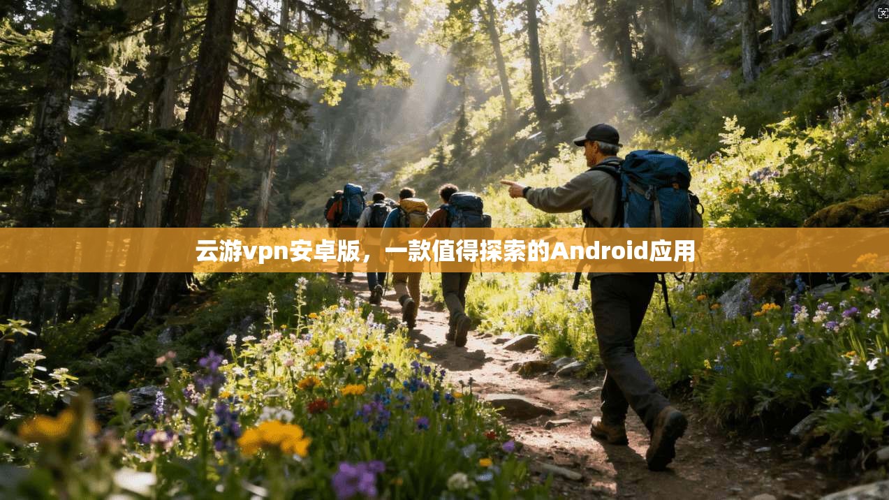 云游vpn安卓版,一款值得探索的Android应用