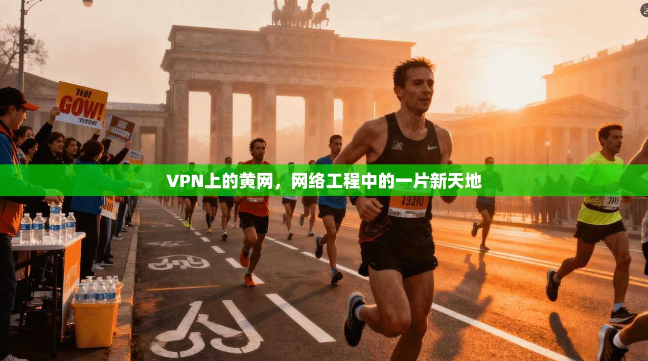 VPN上的黄网，网络工程中的一片新天地
