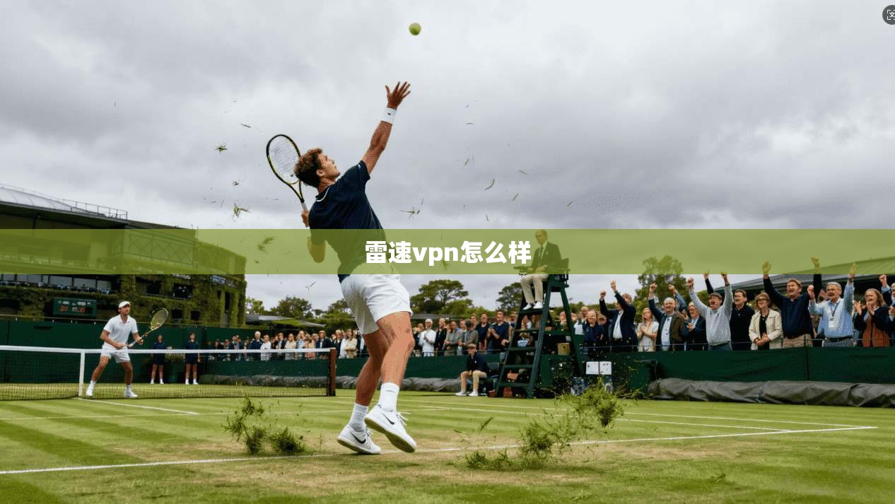 雷速vpn怎么样