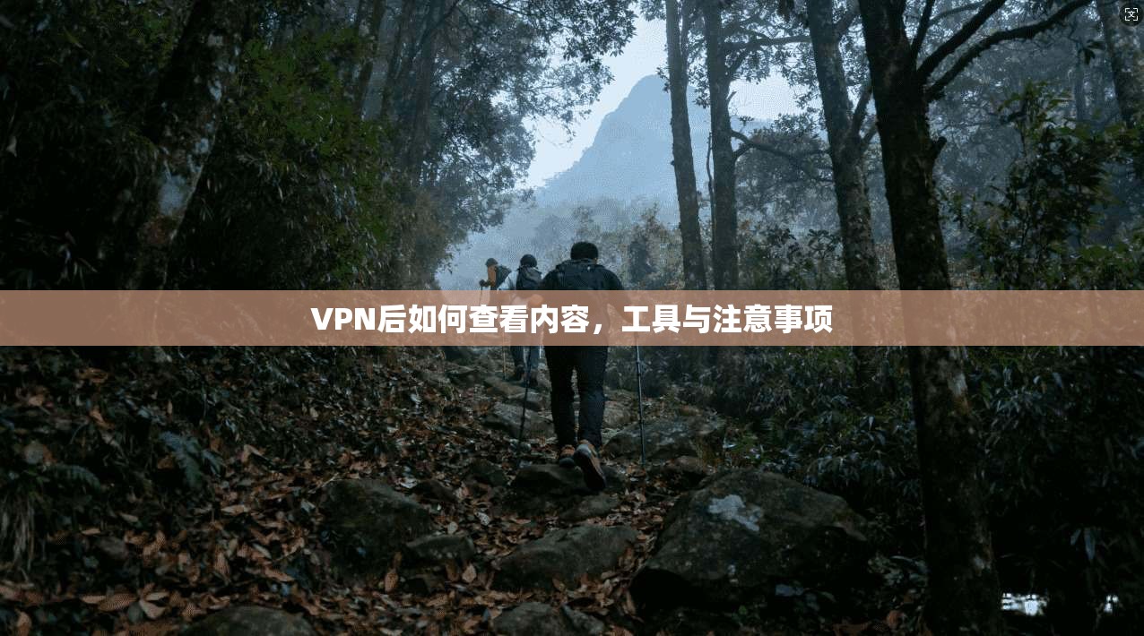 VPN后如何查看内容，工具与注意事项