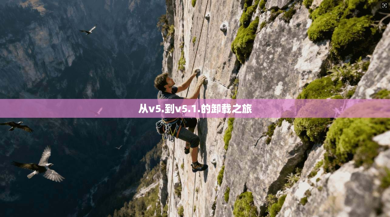 从v5.到v5.1.的卸载之旅