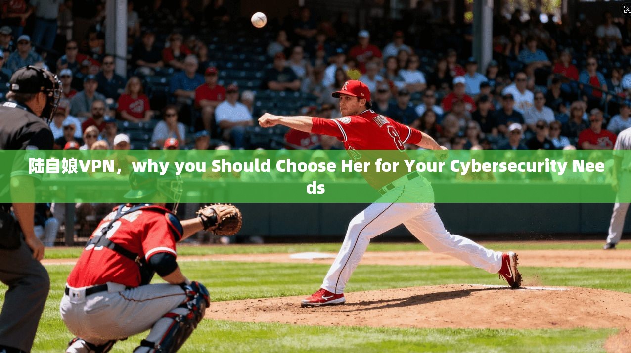 陆自娘VPN，why you Should Choose Her for Your Cybersecurity Needs