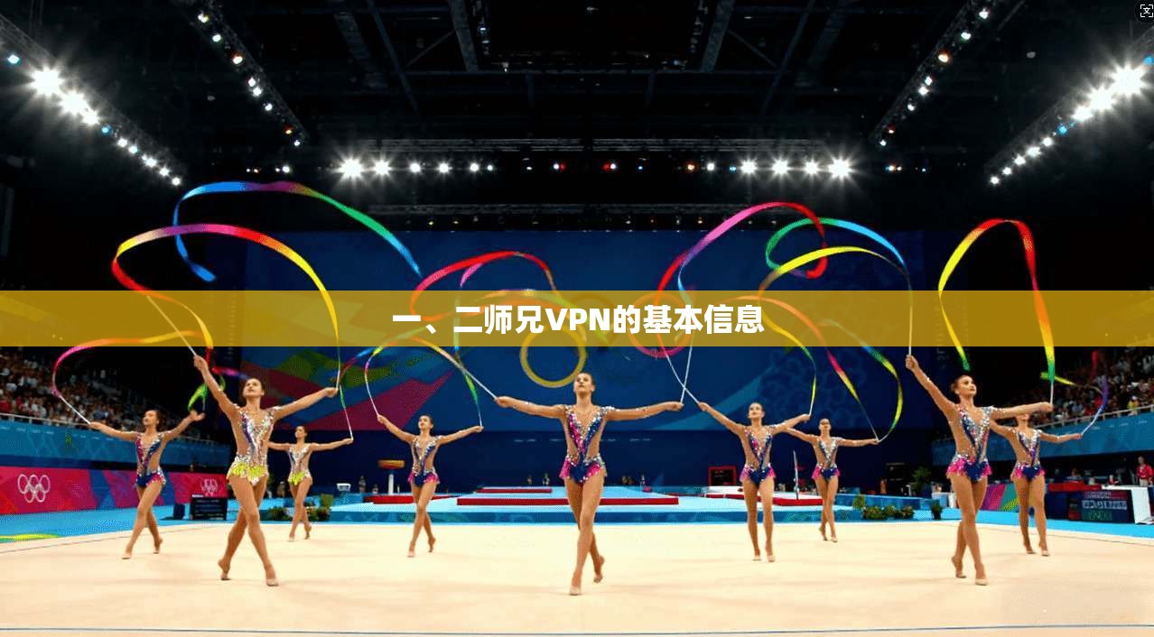 一、二师兄VPN的基本信息