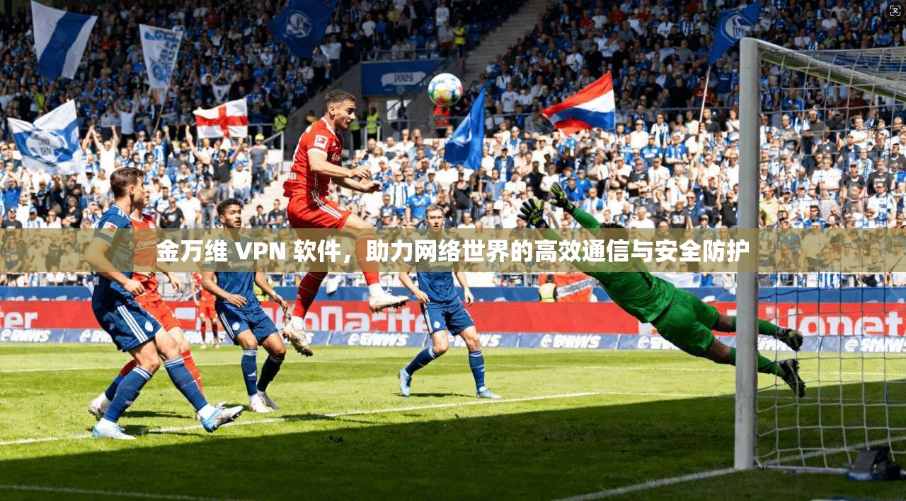金万维 VPN 软件，助力网络世界的高效通信与安全防护