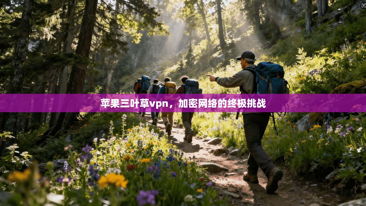 苹果三叶草vpn，加密网络的终极挑战