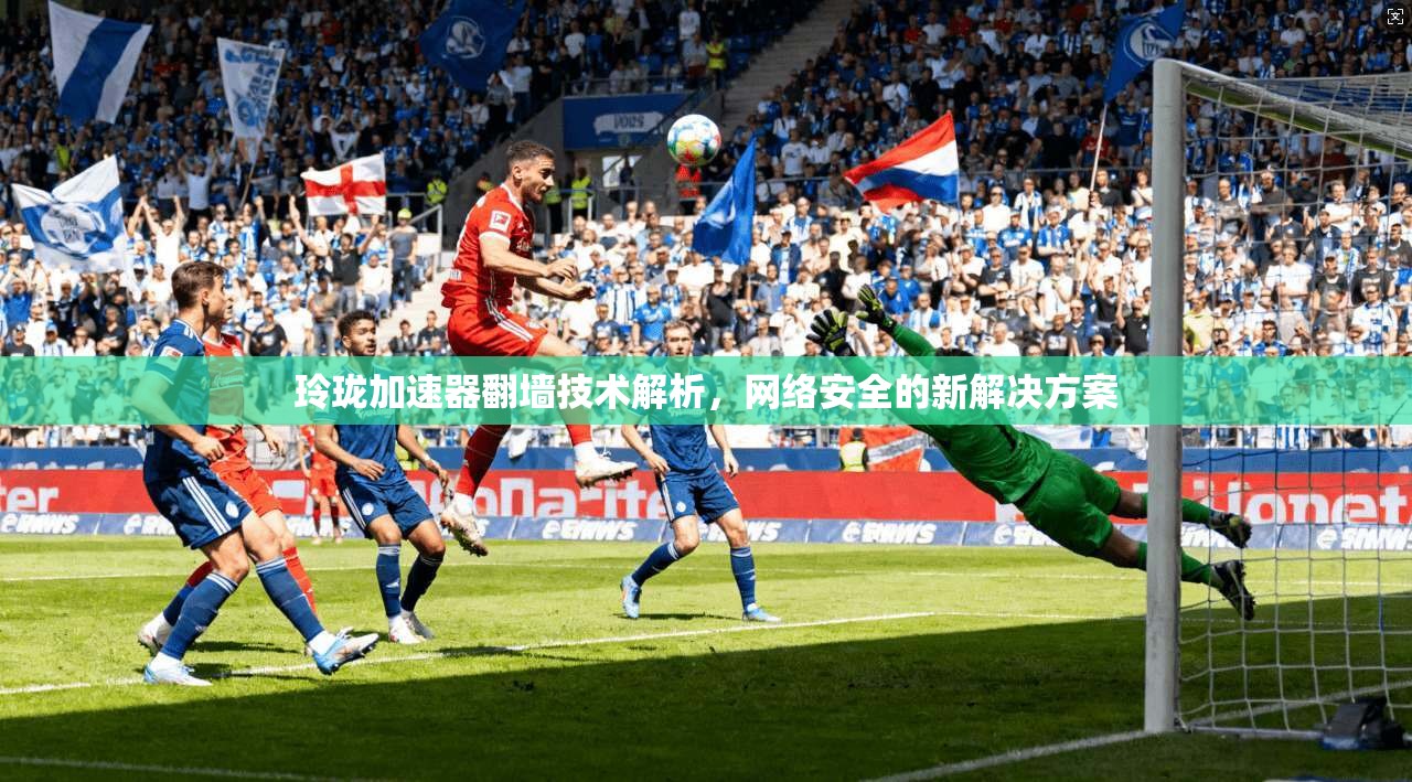 玲珑加速器翻墙技术解析，网络安全的新解决方案