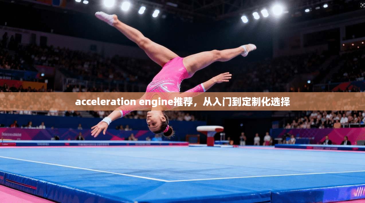 acceleration engine推荐，从入门到定制化选择