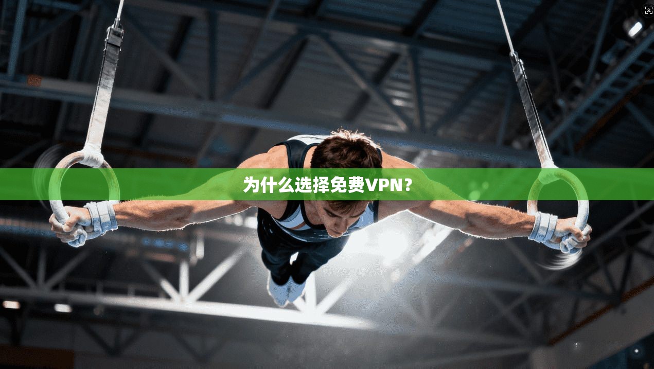 为什么选择免费VPN？