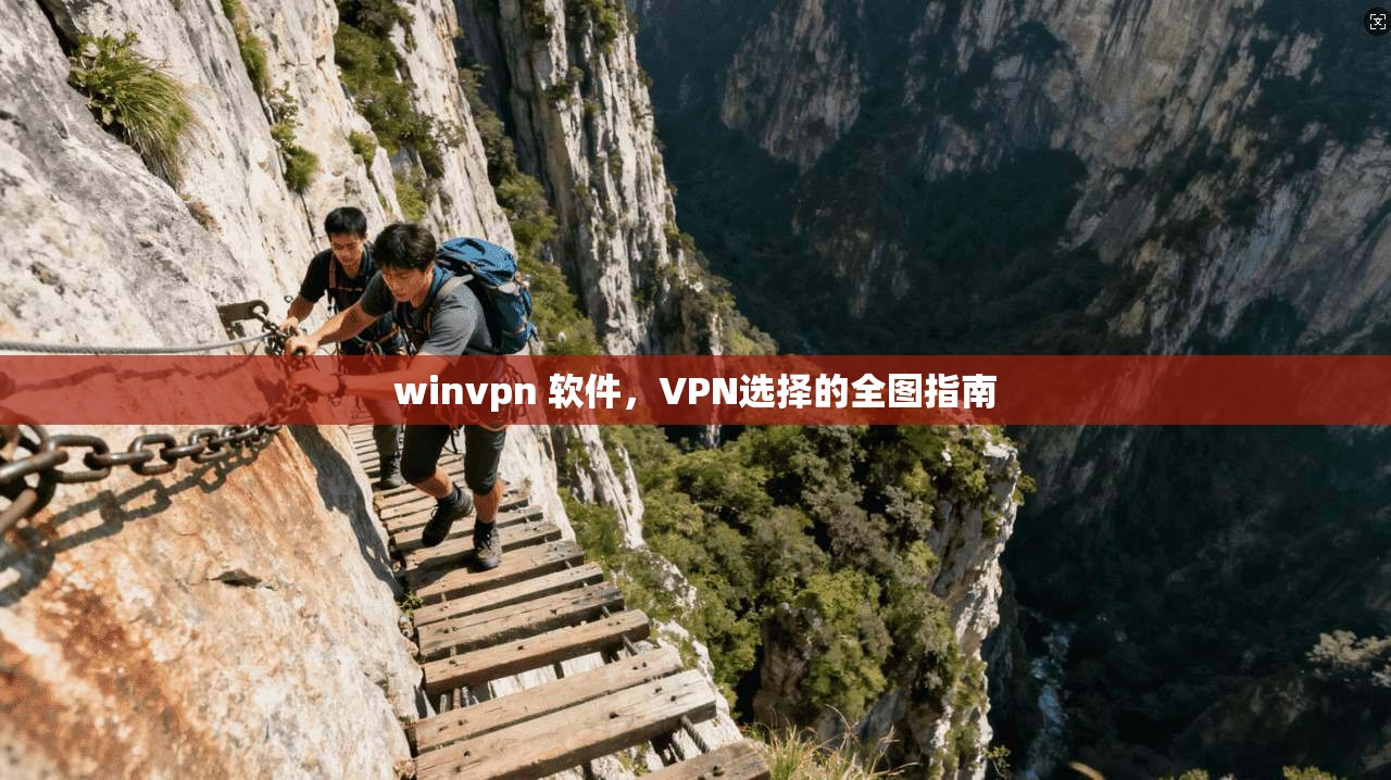 winvpn 软件，VPN选择的全图指南