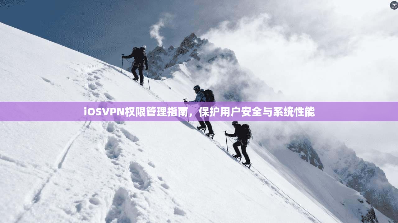 iOSVPN权限管理指南，保护用户安全与系统性能