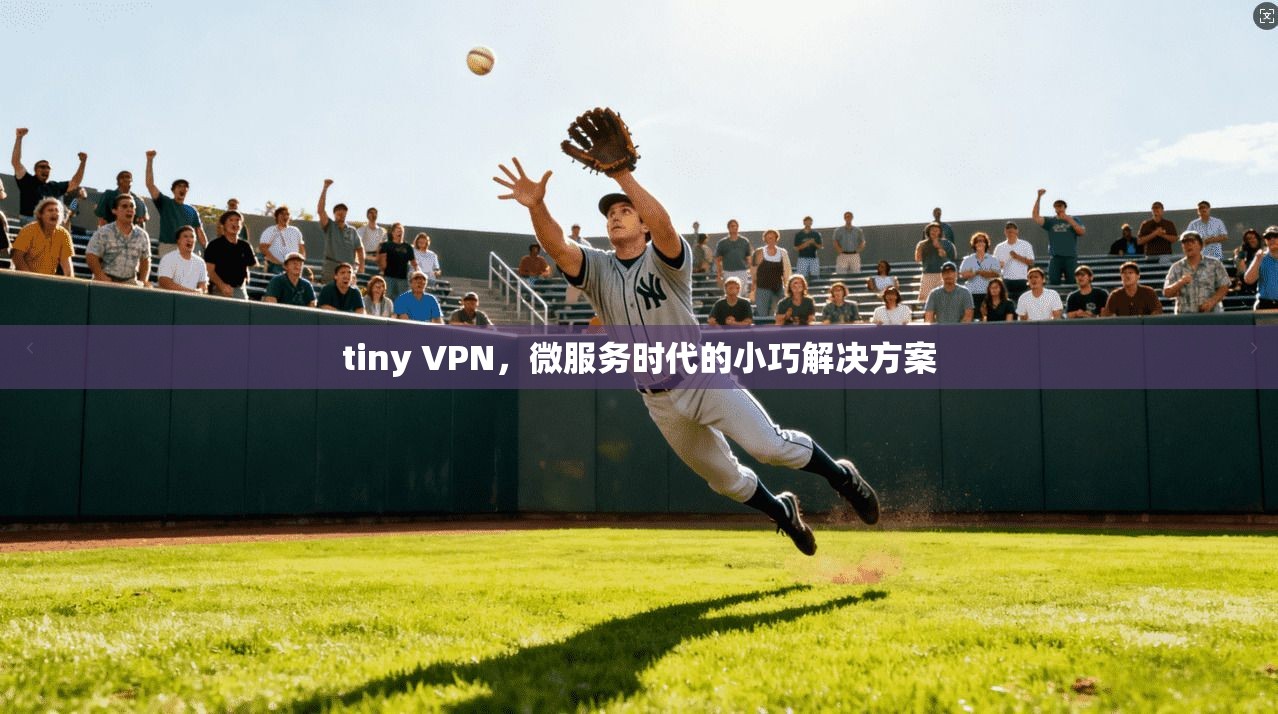 tiny VPN，微服务时代的小巧解决方案