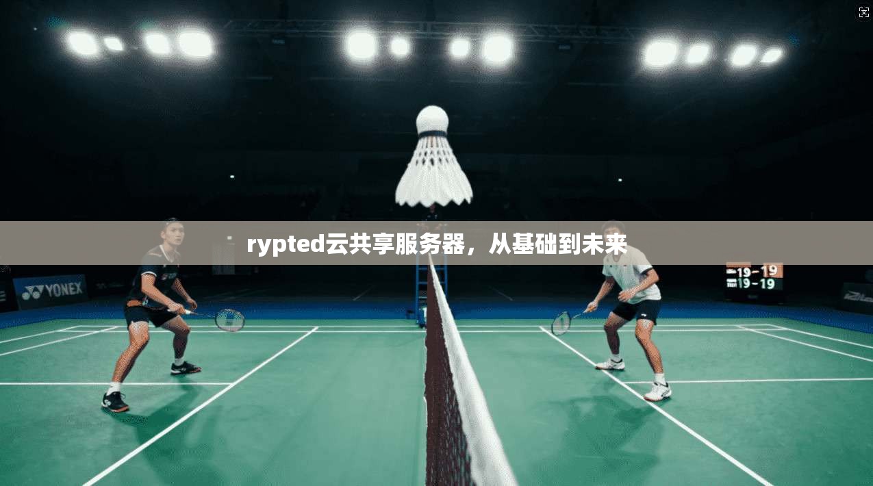 rypted云共享服务器，从基础到未来