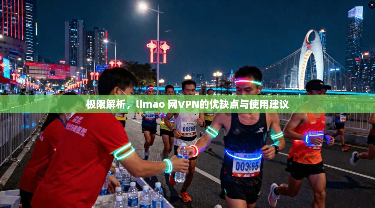 极限解析，limao 网VPN的优缺点与使用建议