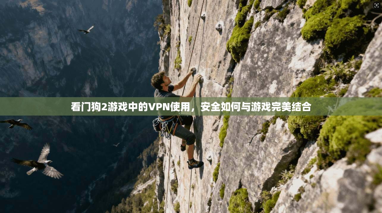 看门狗2游戏中的VPN使用，安全如何与游戏完美结合