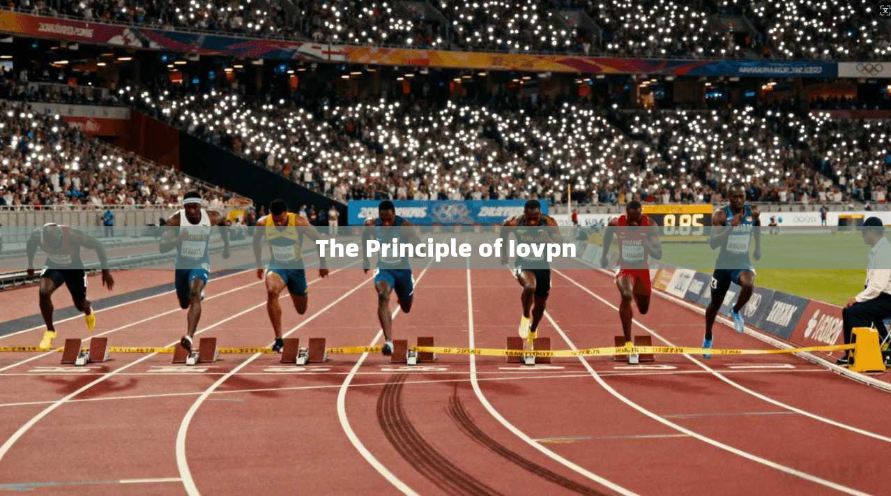 The Principle of Iovpn