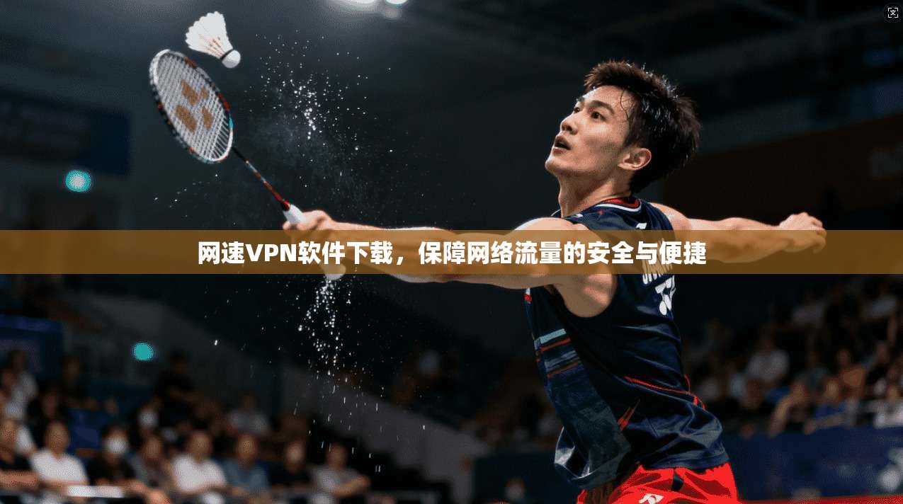 网速VPN软件下载，保障网络流量的安全与便捷
