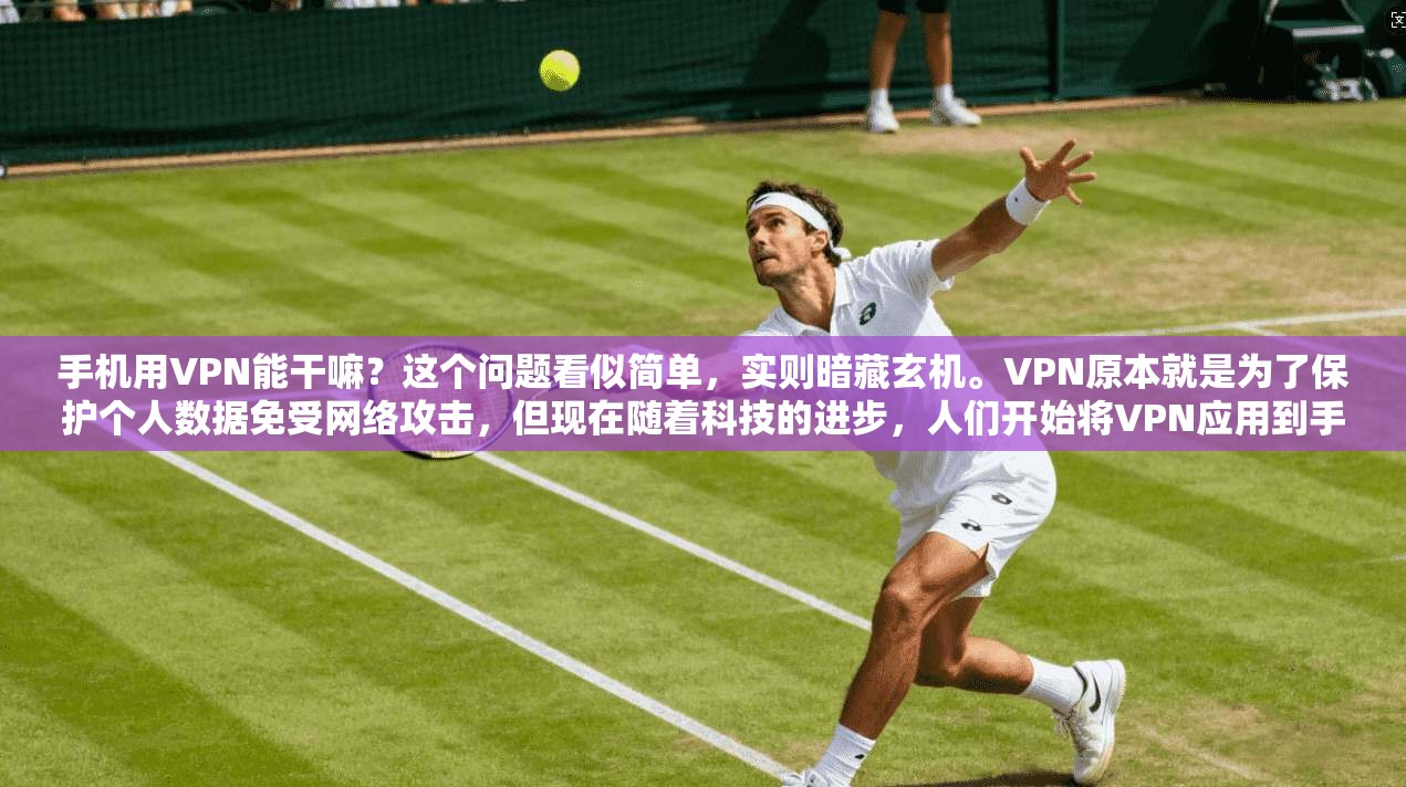 手机用VPN能干嘛？这个问题看似简单，实则暗藏玄机。VPN原本就是为了保护个人数据免受网络攻击，但现在随着科技的进步，人们开始将VPN应用到手机上，这种现象被称为手机VPN