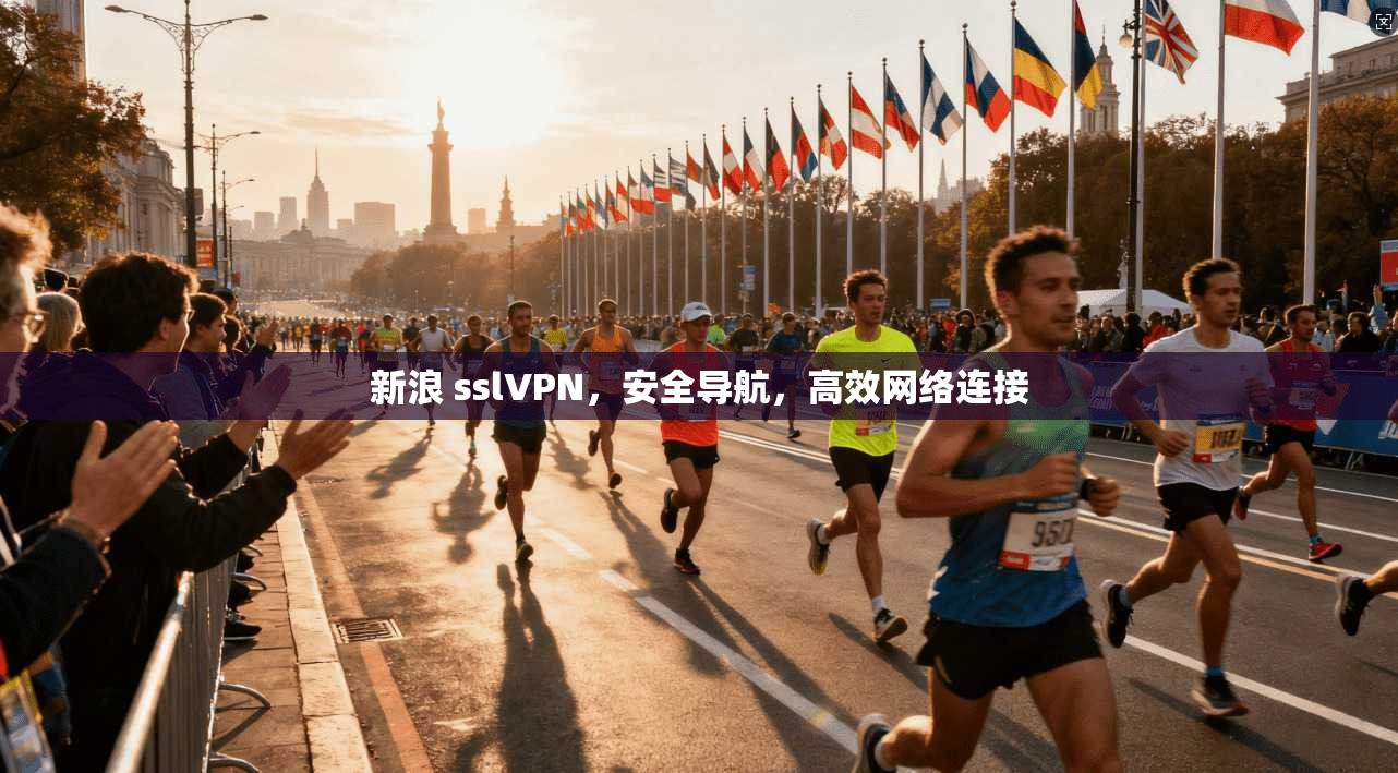 新浪 sslVPN，安全导航，高效网络连接